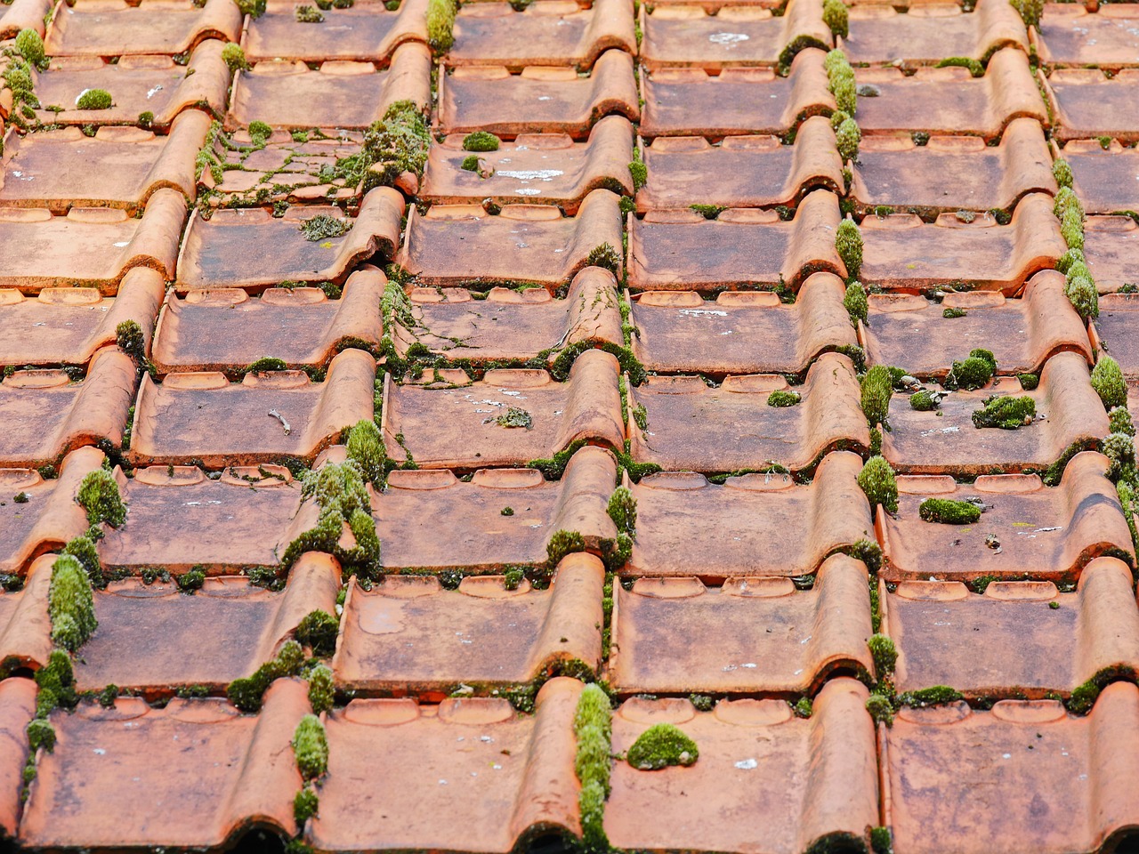 old-roof-g67017f5a8_1280 Toiture réparation